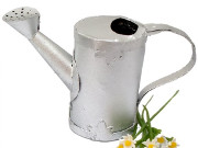 watering_can.jpg