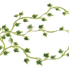 Image of Ivy Vine Stencil