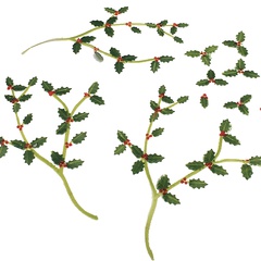 Image of Holly Twigs