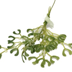 Image of Mistletoe Stencil