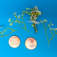 Image of <b>NEW:</b> Gypsophila Stencil