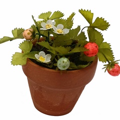 Image of <b>NEW:</b> Strawberry Pot Large