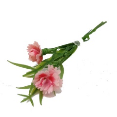 Image of Carnation Small Bunch