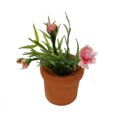Image of Carnations in a pot
