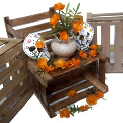 Image of <b>NEW:</b> Marigold (African)